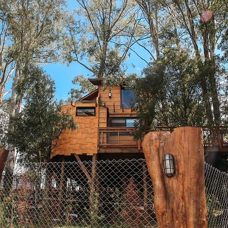 Casa Na Arvore Morada Dos Vagalumes Farroupilha Dış mekan fotoğraf