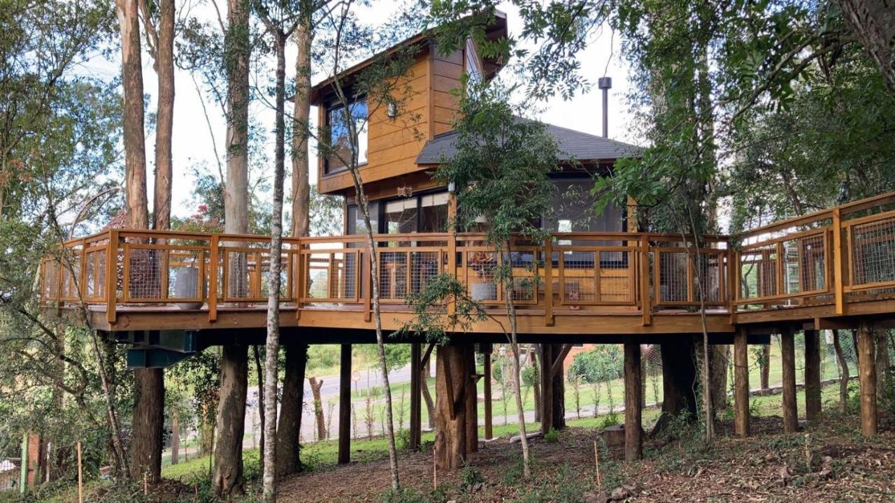 Casa Na Arvore Morada Dos Vagalumes Farroupilha Dış mekan fotoğraf